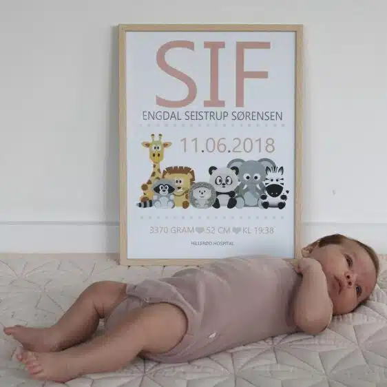 Fødselsplakat med dyr til barnedåbsgave. På fødselsplakaten er der Giraf, panda og elefant på