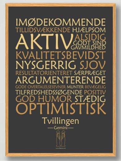 tvillingen-stjernetegnsplakat