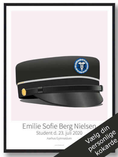 HHX 5 højniveaufag plakat