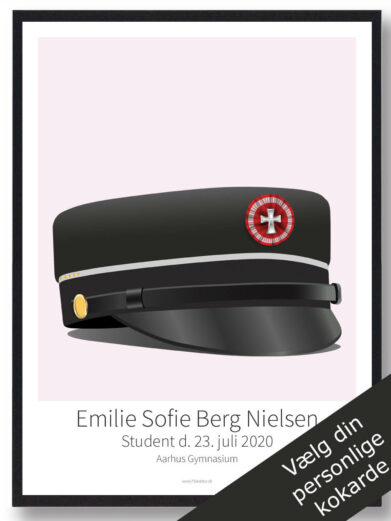 STX 5 højniveaufag plakat