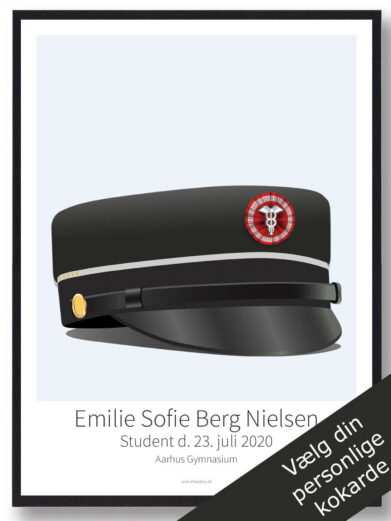 HHX 5 højniveaufag plakat