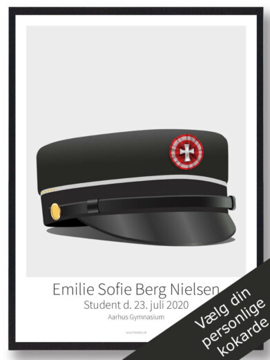 STX 5 højniveaufag plakat