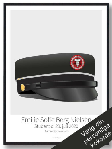 HHX 5 højniveaufag plakat