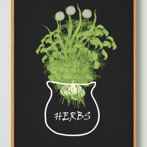 Herbs - plakat