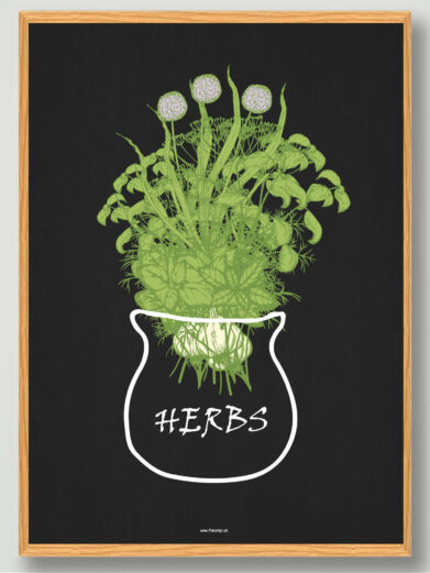 Herbs - plakat