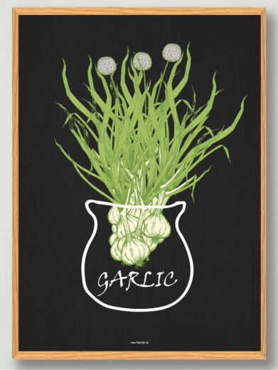 Garlic - plakat