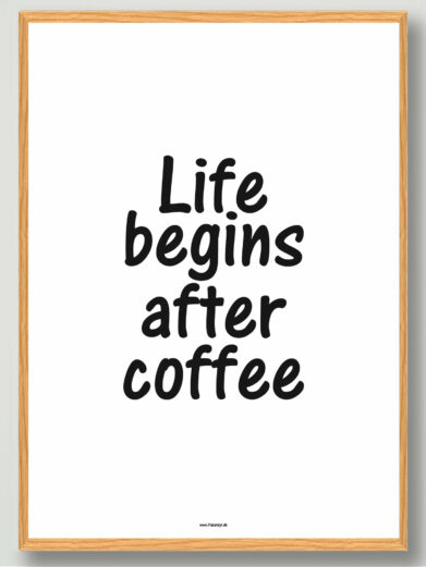 Life begins... - plakat