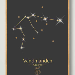 Stjernebillede vandmanden (sort) - plakat