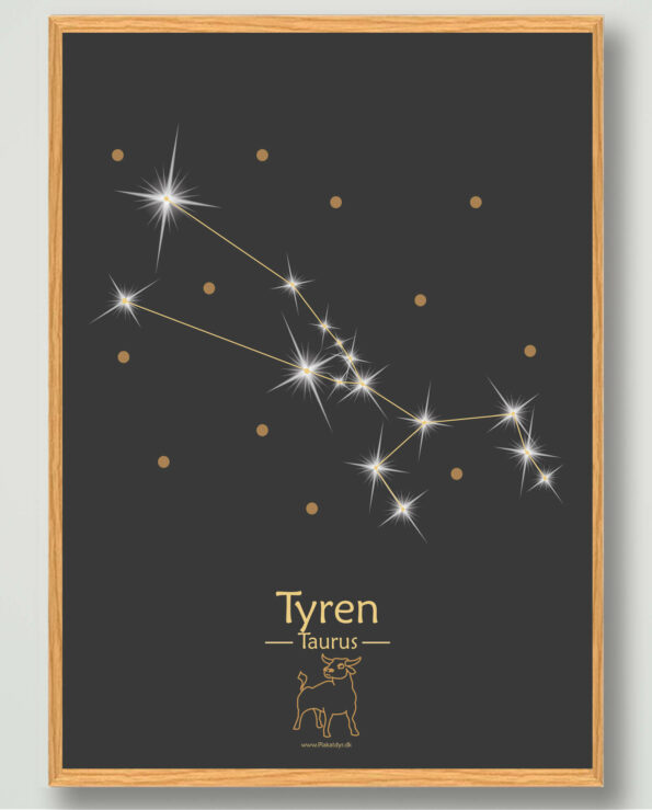 Populære plakat med stjernetegn tyren. Stjernetegnet tyren på sort baggrund som viser stjernebilledet af tyren