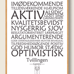 Stjernetegn tvillingen (hvid) - plakat
