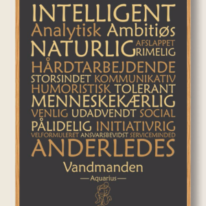 Stjernetegn vandmanden (sort) - plakat