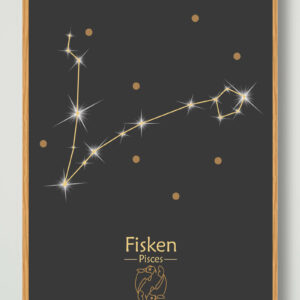 Stjernebillede fisken (sort) - plakat