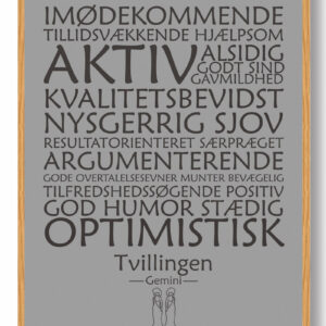 Stjernetegn tvillingen (grå) - plakat