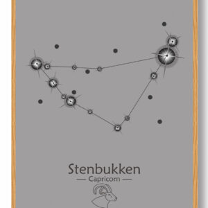 Stjernebillede stenbukken (grå) - plakat