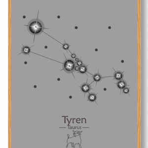 Stjernebillede tyren (grå) - plakat