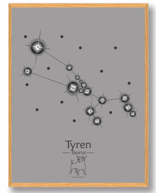 Stjernebillede tyren (grå) - plakat