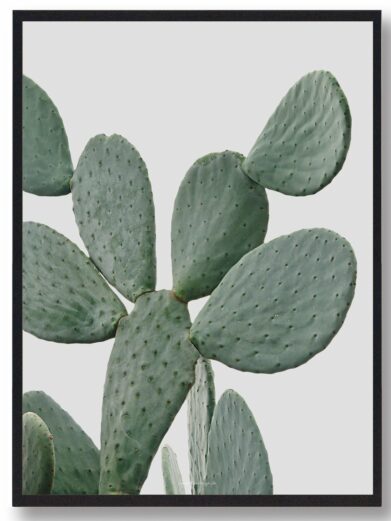 Close-up of the 'Cactus in Desert Naturplakat', featuring detailed green cactus pads against a light background. A stylish boligplakat.