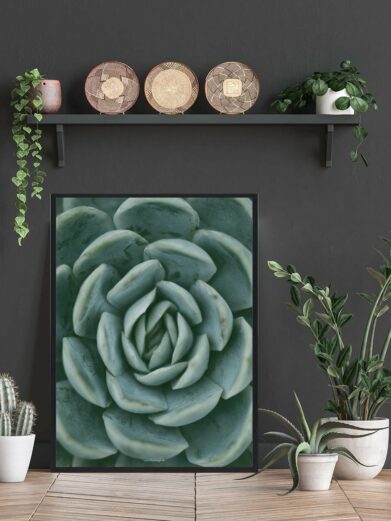 Cactus in desert naturplakat: Close-up of a succulent plant art print in muted green tones, framed and styled in a room setting.