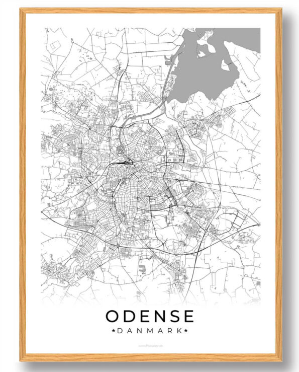 Odense by plakat - hvid