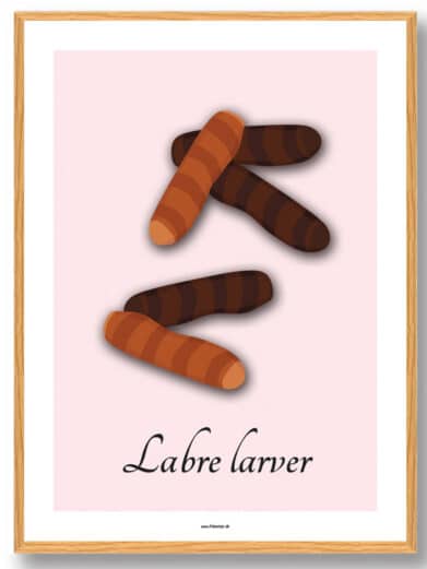 Labre larver - plakat