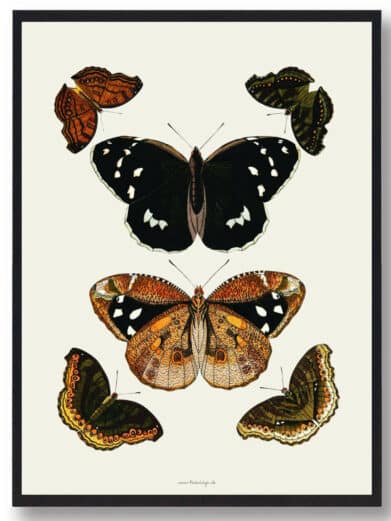 Sommerfugleplakat