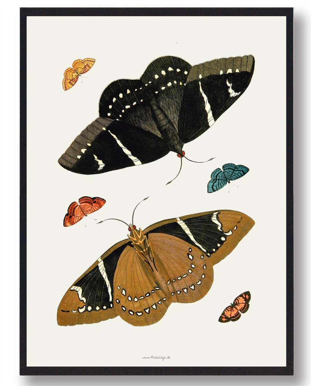 Sommerfugleplakat