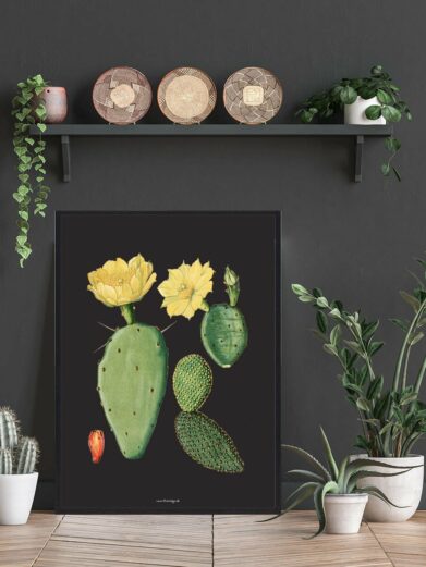 Kaktus Plakat: botanical print featuring a vibrant cactus with yellow flowers on a black background. Nature inspired wall art.