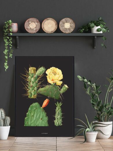 Stylish Kaktus Plakat - Sort. Close-up of a framed botanical print featuring various cacti with blooms against a dark background.