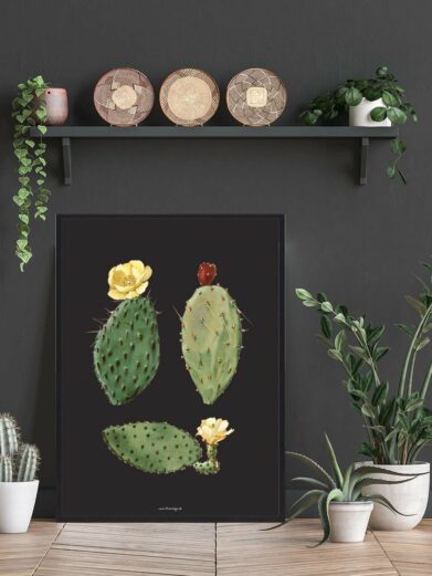 Kaktus Plakat: Botanical art print featuring three watercolor cacti with yellow flowers, framed on a wooden floor with plants.