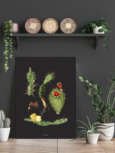 Kaktus Plakat: Botanical art print featuring various cacti with flowers and thorns against a dark background in a stylish living room.