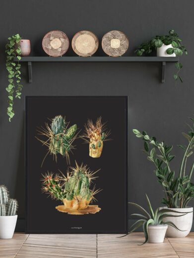 Kaktus Plakat: Botanical art print featuring three watercolor cacti on a black background, framed, in a stylish interior setting.