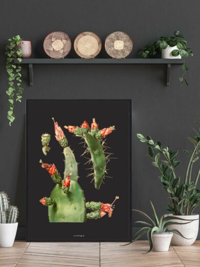 Close-up of Kaktus Plakat - Sort, featuring a framed botanical print of a cactus with vibrant red flowers against a dark background.