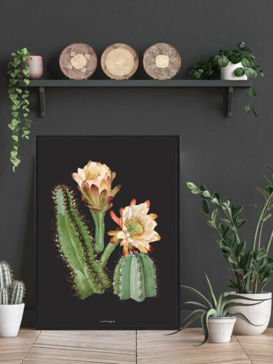 Framed Kaktus Plakat art print featuring blooming cacti against a dark background, styled in a modern home setting.