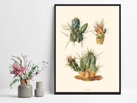 plakate-kaktus-plakat-1