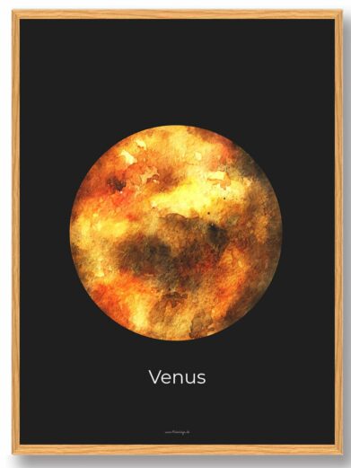 Venus - rumplakat