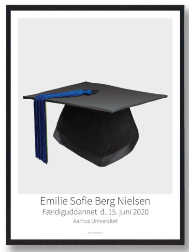 Kandidathue plakat