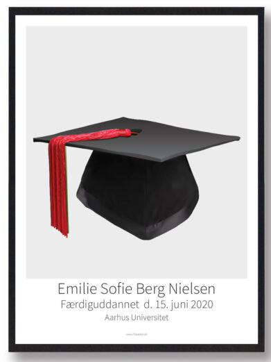 Kandidathue plakat