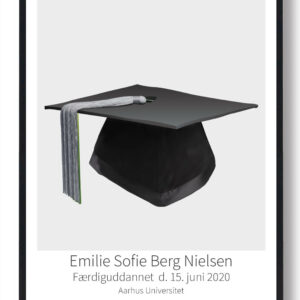 Kandidathue plakat - sølv