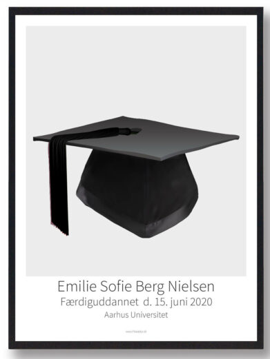 Kandidathue plakat