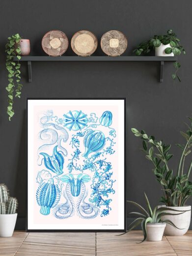 "Blå liv" (Blue Life) poster: An elegant nature print featuring blue sea life illustrations on a white background.