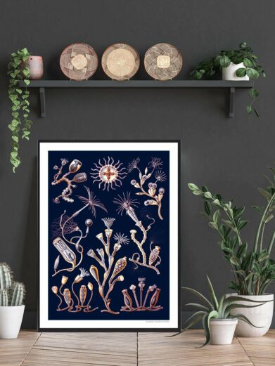 Blå liv plakat: A framed nature poster with detailed marine life illustrations in gold on a dark blue background. Stylish home decor.