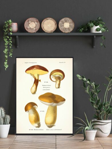 Brungul rørhat Svampe plakat. Illustration of diverse brown and yellow mushrooms in a vintage botanical style poster. Naturplakater.