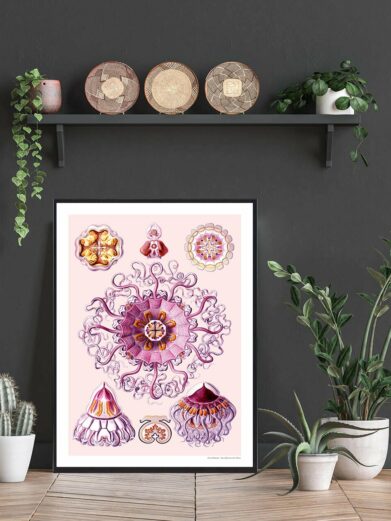 Havets skønhed plakat featuring vintage jellyfish illustrations in pink and purple tones. Nature-inspired wall art.