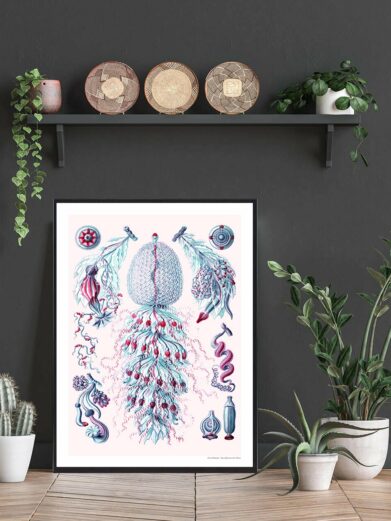 Havets skønhed plakat: A detailed botanical print featuring sea flora in blues, reds, and greens. A nature poster for home decor.
