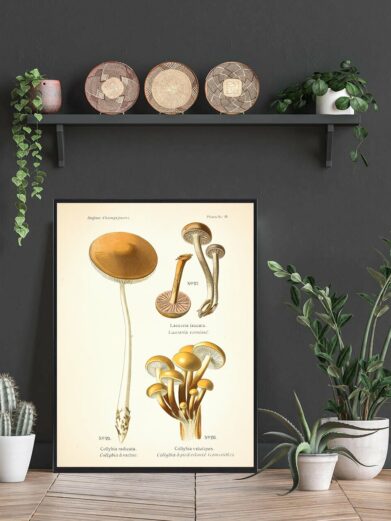 Close-up of the 'Gul fløjlsfod - Svampe plakat', showcasing detailed mushroom illustrations in earthy tones, framed and styled in a room setting.