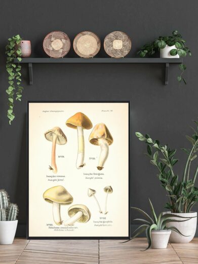 Gulbladet trævlhat plakat. Close-up art poster featuring mushroom botanical illustration in beige, brown, and cream tones. Wall art.