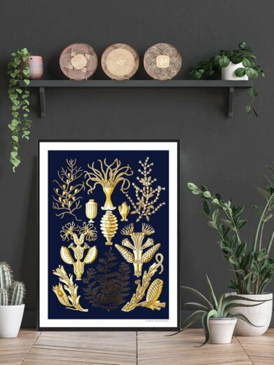 Dyb hav - plakat art print featuring golden sea flora on navy. A stylish nature poster for home decor.