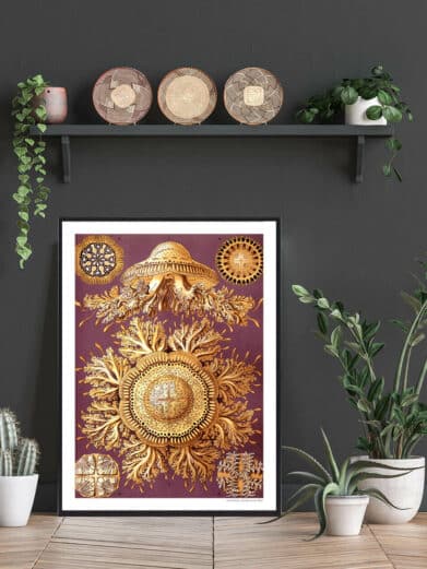 Framed Hestesko Krabbe poster: golden horseshoe crab illustration on purple background, showcasing intricate details. A nature-inspired wall art.