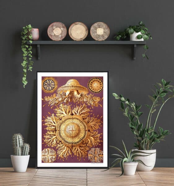 Framed Hestesko Krabbe poster: golden horseshoe crab illustration on purple background, showcasing intricate details. A nature-inspired wall art.