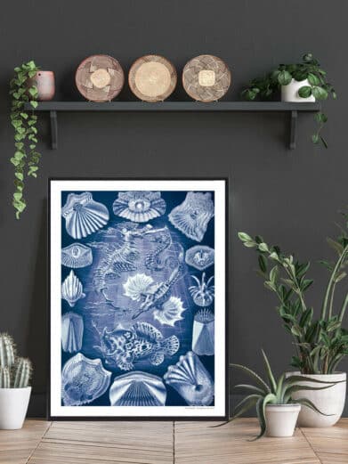 Framed Hestesko Krabbe plakat featuring blue vintage-style illustration of seashells, seahorses, and sea creatures on a dark wall with plants.